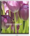 /album/photo-gallery-canvas-uri/decoratiuni-de-perete-canvas-lc-1432-jpg/